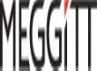 EST II  Meggitt Training Systems       