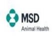 MSD Animal Health       