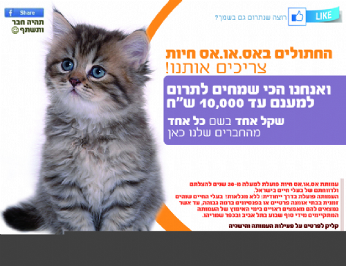 תורמים בשם החברים
