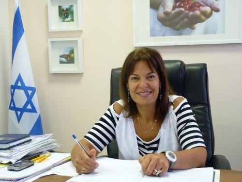 הצעת חוק חדשה עברה בוועדת שרים לחקיקה: 5 שנות מאסר