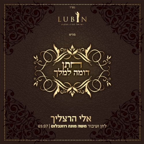 עונת אירועי הקיץ בעיצומה: אלי הרצליך בסינגל בכורה "חתן דומה למלך"