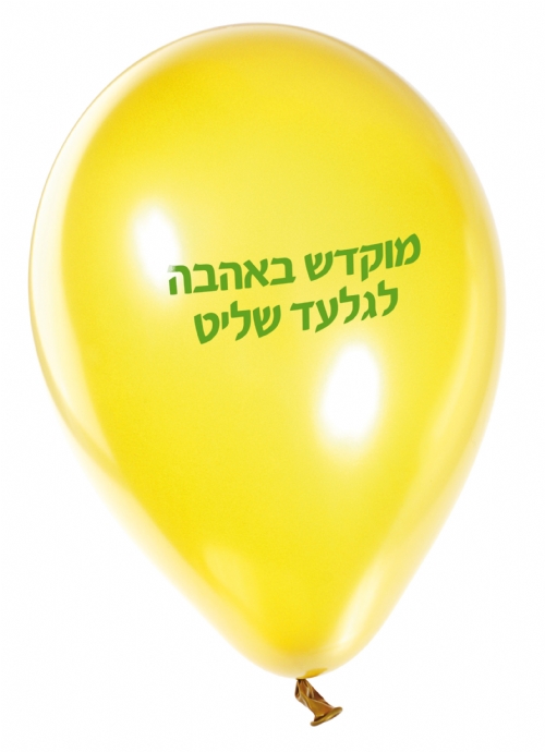 קניונים מקומיים נרתמים למען החזרתו של גלעד שליט