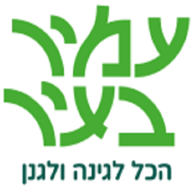 עמיר בעיר